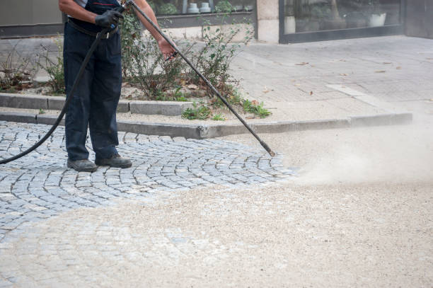 Best Driveway Pressure Washing  in Shenandoah, TX