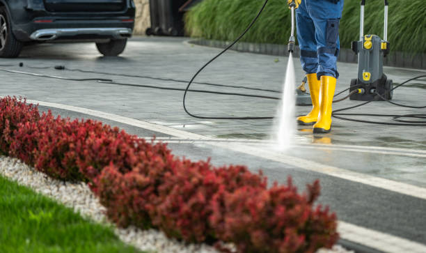 Best Spring Cleaning  in Shenandoah, TX